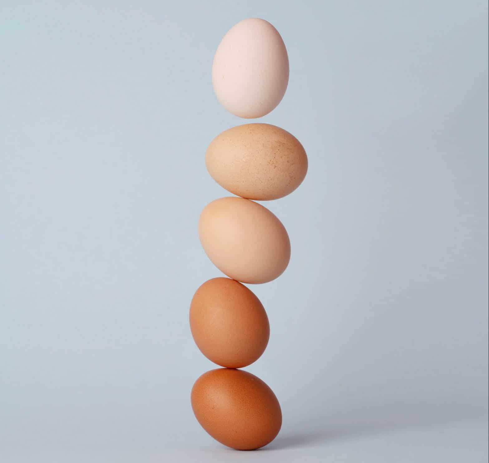 b2b marketing fundamentals - digital marketing services agency